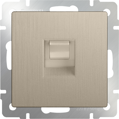 WERKEL Роз. Ethernet с/у RJ-45 (шампань рифленый)