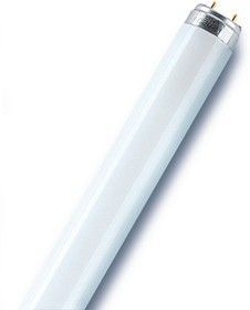 Лампа люмин.36/640 (25ШТ) OSRAM ярко-белая