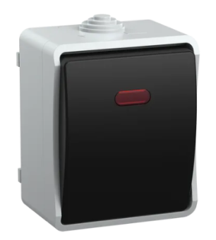 Выкл. ВС20-2-0-ГПБ 2кл о/у IP54 ГЕРМЕС PLUS (цвет клавиши белый)