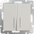 WERKEL Выкл с подсветкой 2-х клав с/у 10А 220В слоновая кость LED