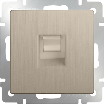 WERKEL Роз. Ethernet с/у RJ-45 (шампань рифленый)