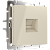 WERKEL Роз. Ethernet с/у RJ-45 слоновая кость