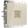 WERKEL Роз. Ethernet с/у RJ-45 слоновая кость