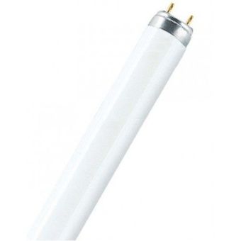 Лампа люмин.36/640 (25ШТ) OSRAM ярко-белая