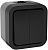 TORS Выключатель двухклавишный 10А IP55 TS105 графит IEK
